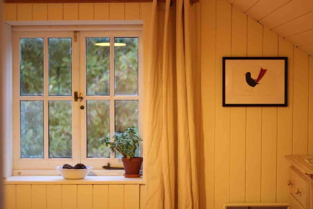 Trinity Annexe An Adorable First Floor Light And Lofty Space Within An Aonb Godmanstone Экстерьер фото
