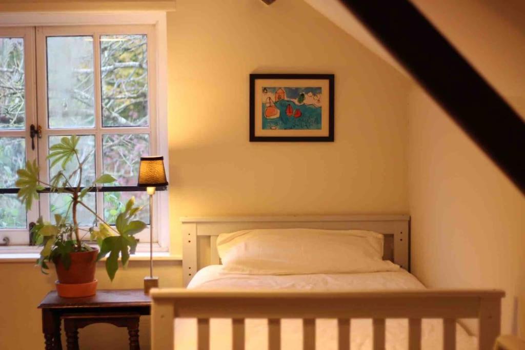Trinity Annexe An Adorable First Floor Light And Lofty Space Within An Aonb Godmanstone Экстерьер фото